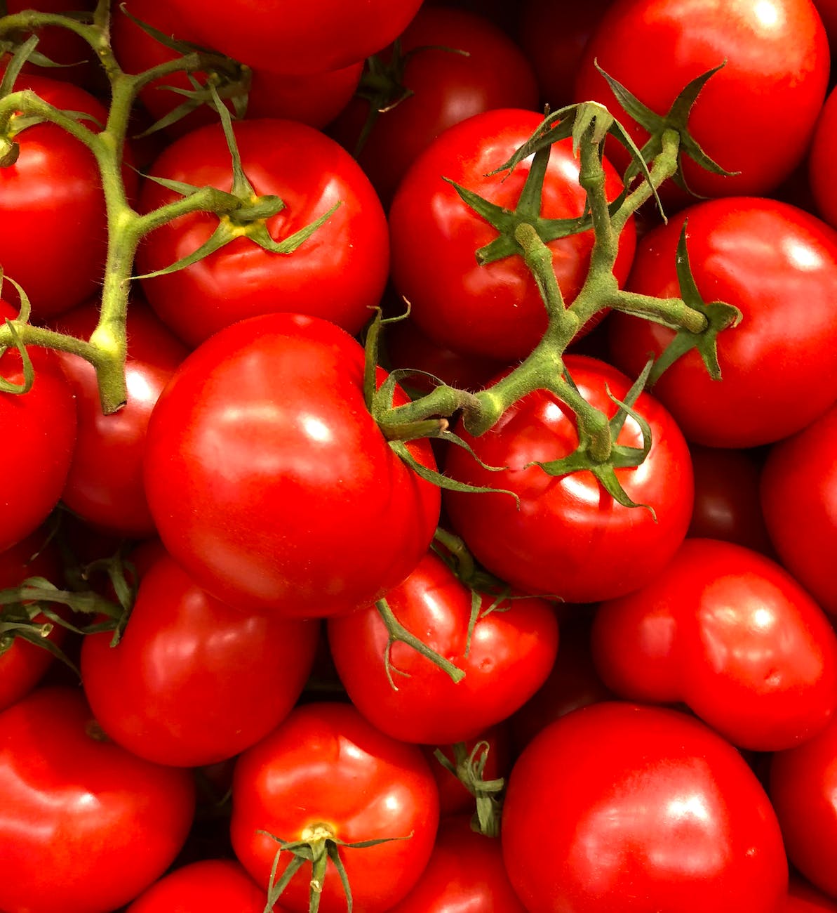 tomato lot