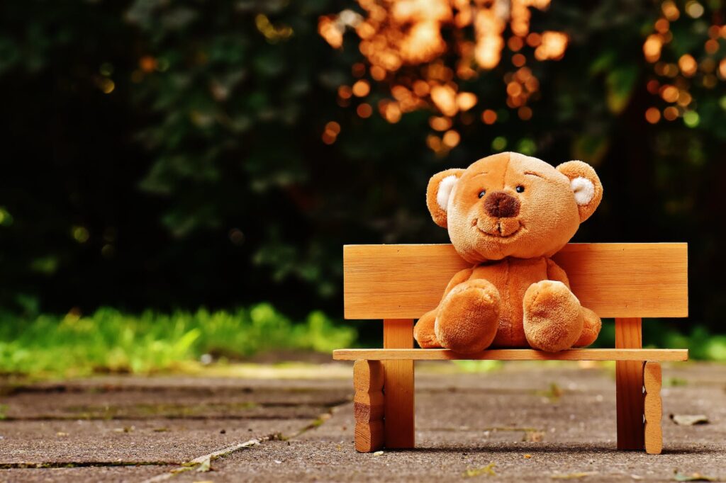 brown teddy bear on brown wooden bench outside