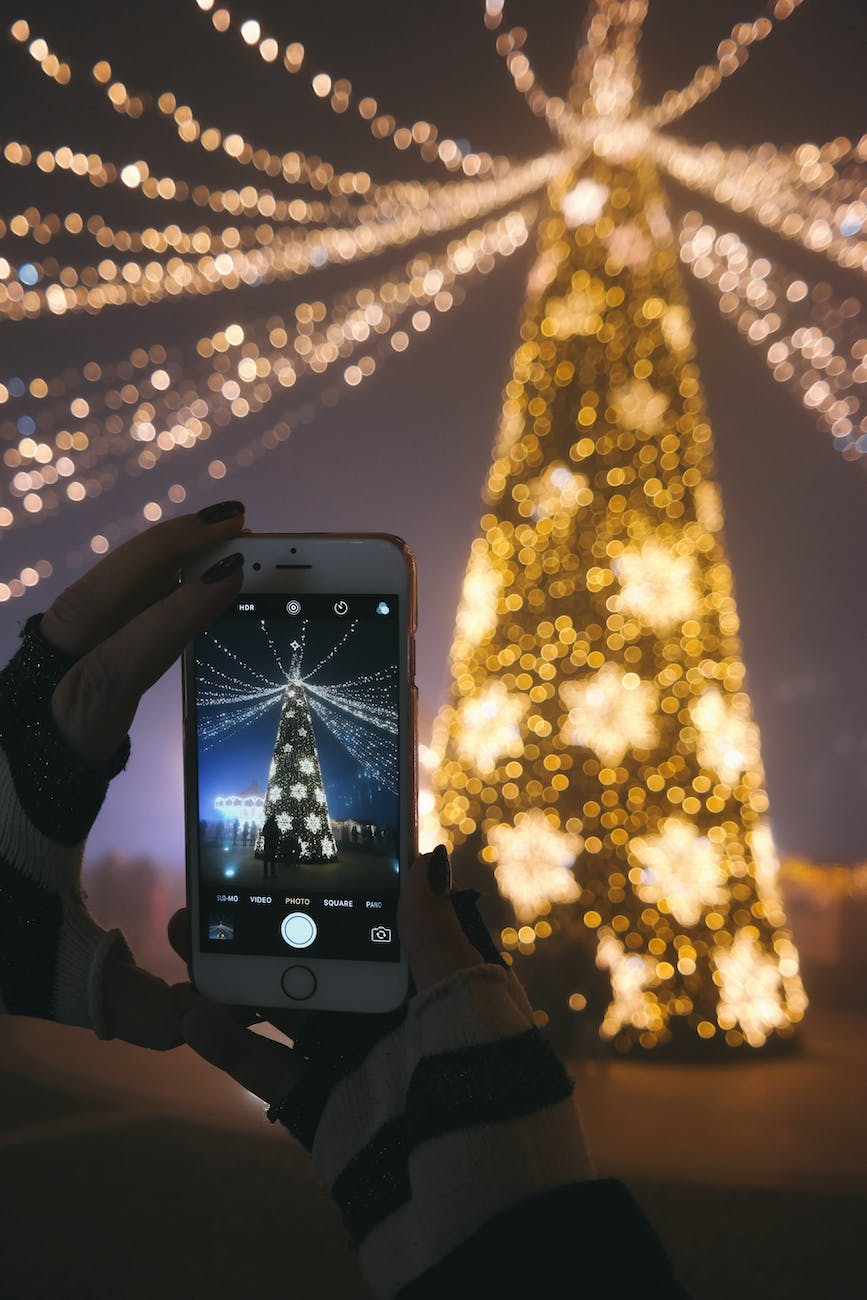 person taking picture of gold lighted tree