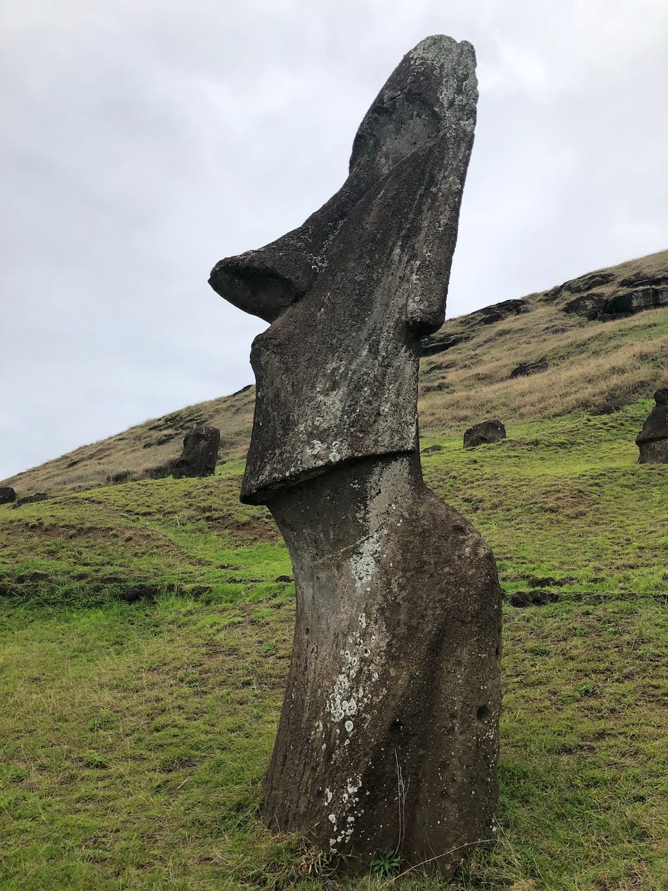 moai statue in close up