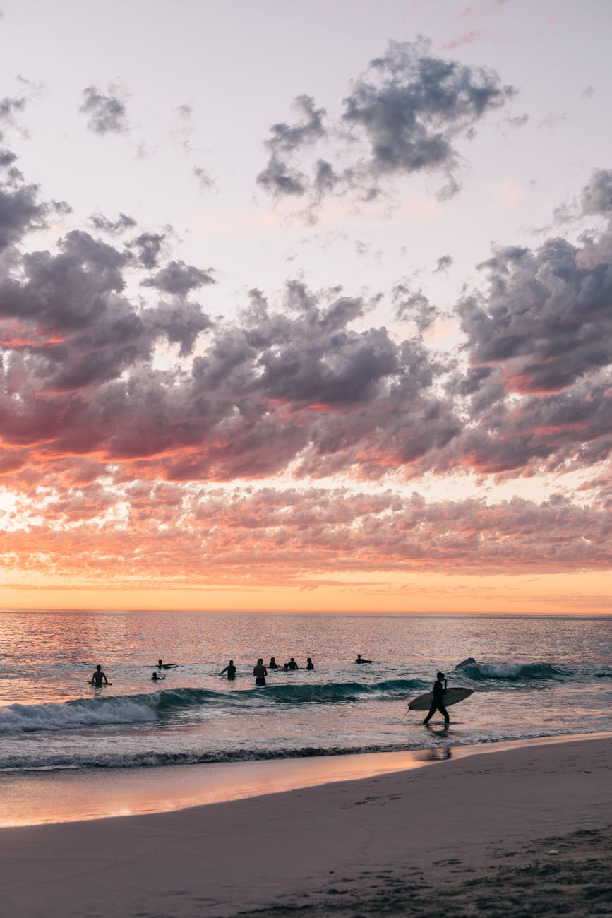 surfers in sea at sunset