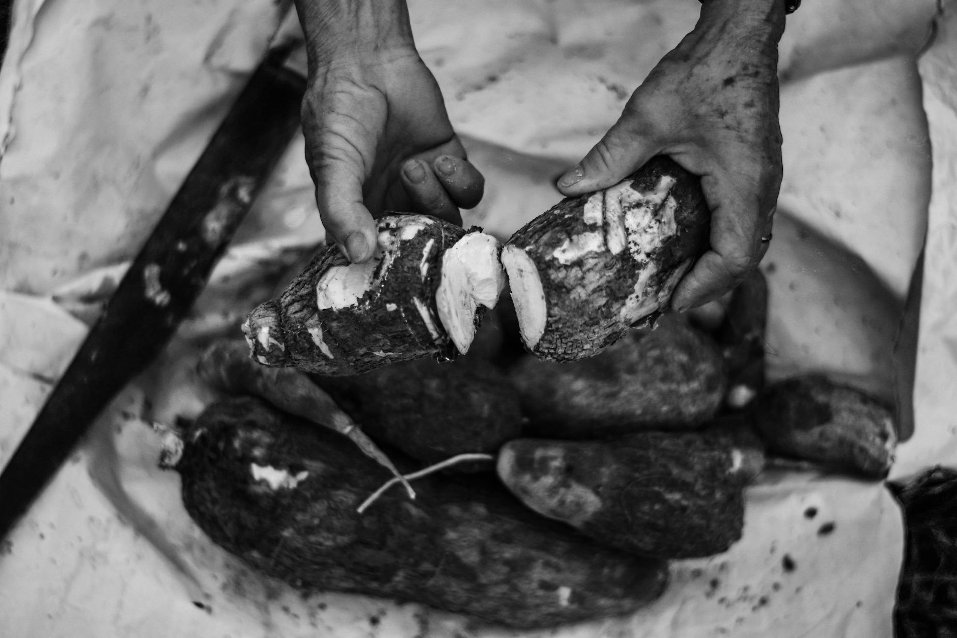 grayscale photo of person holding a big taro root