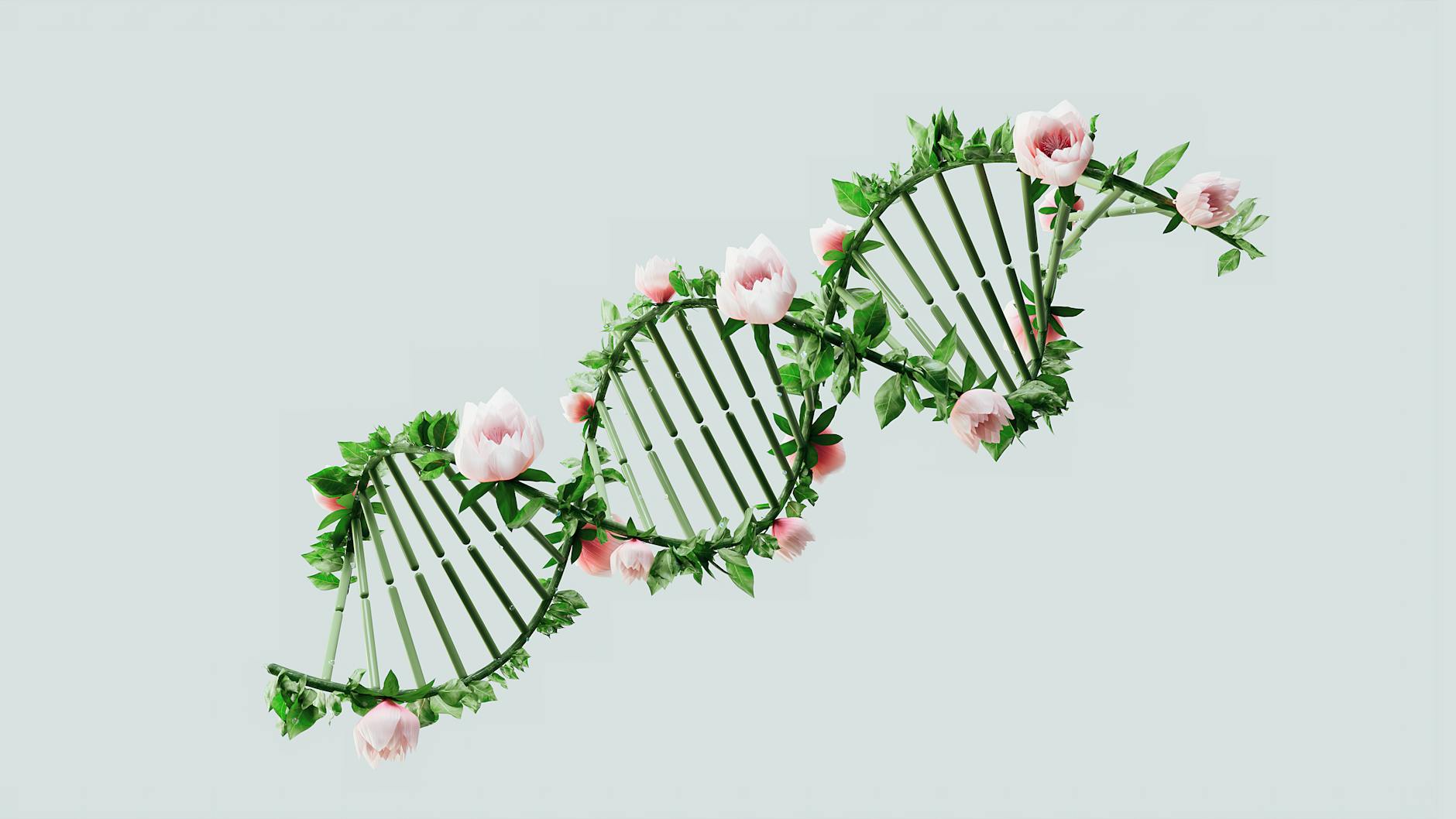 DNA