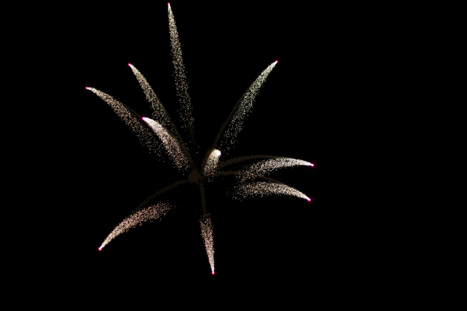 fireworks display in the night sky