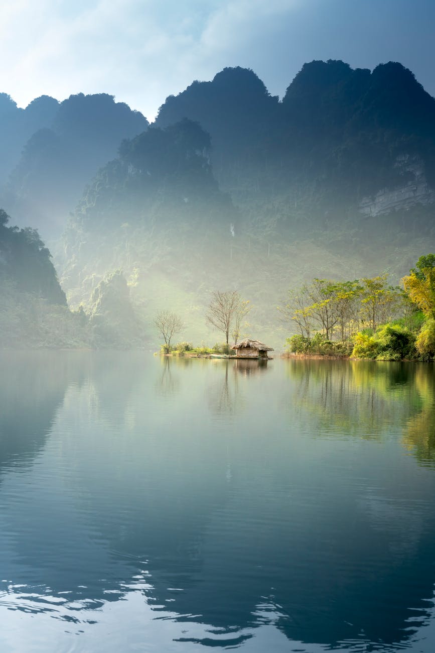 foggy lake