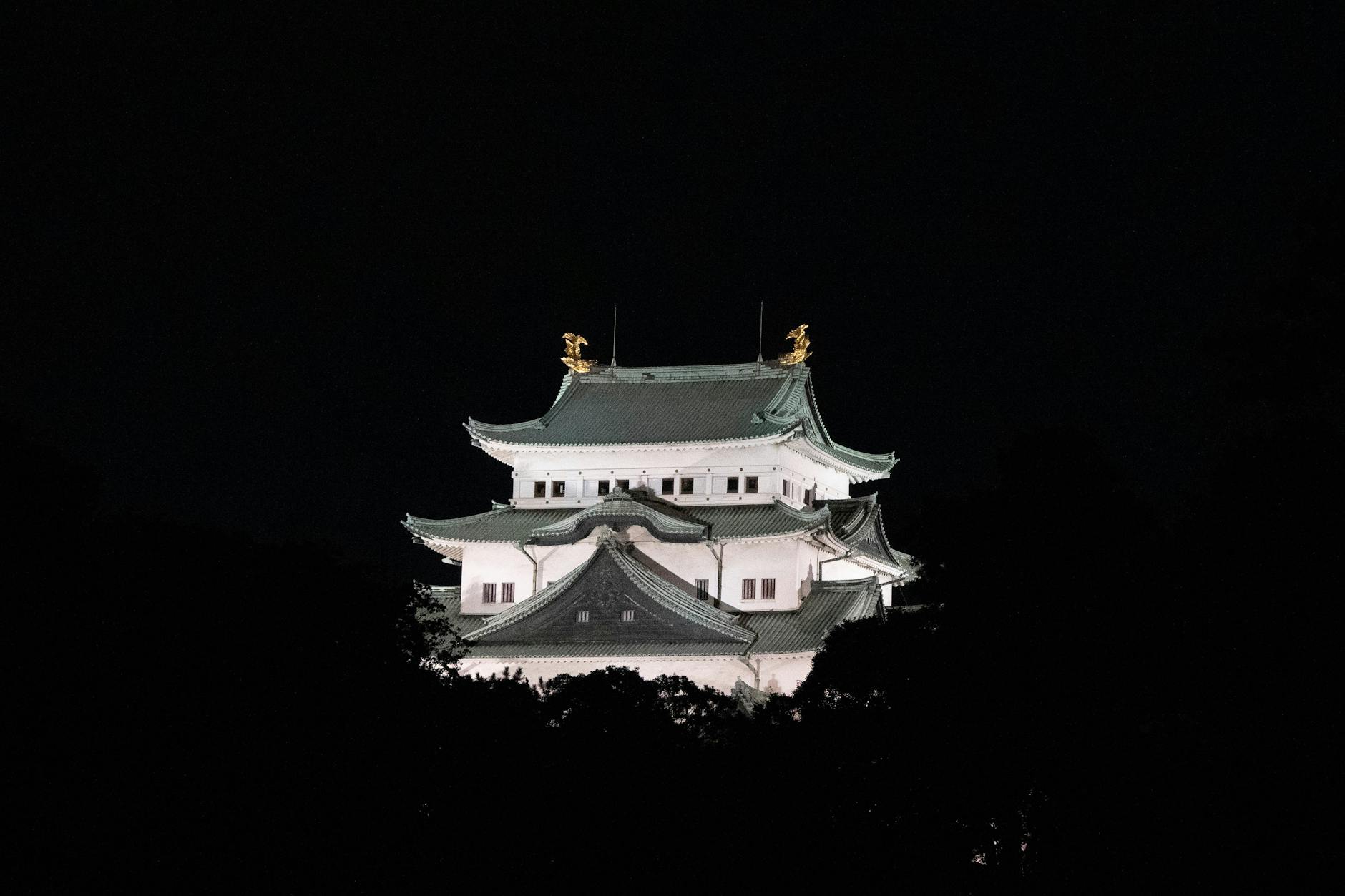 illuminated night view of nagoya castle