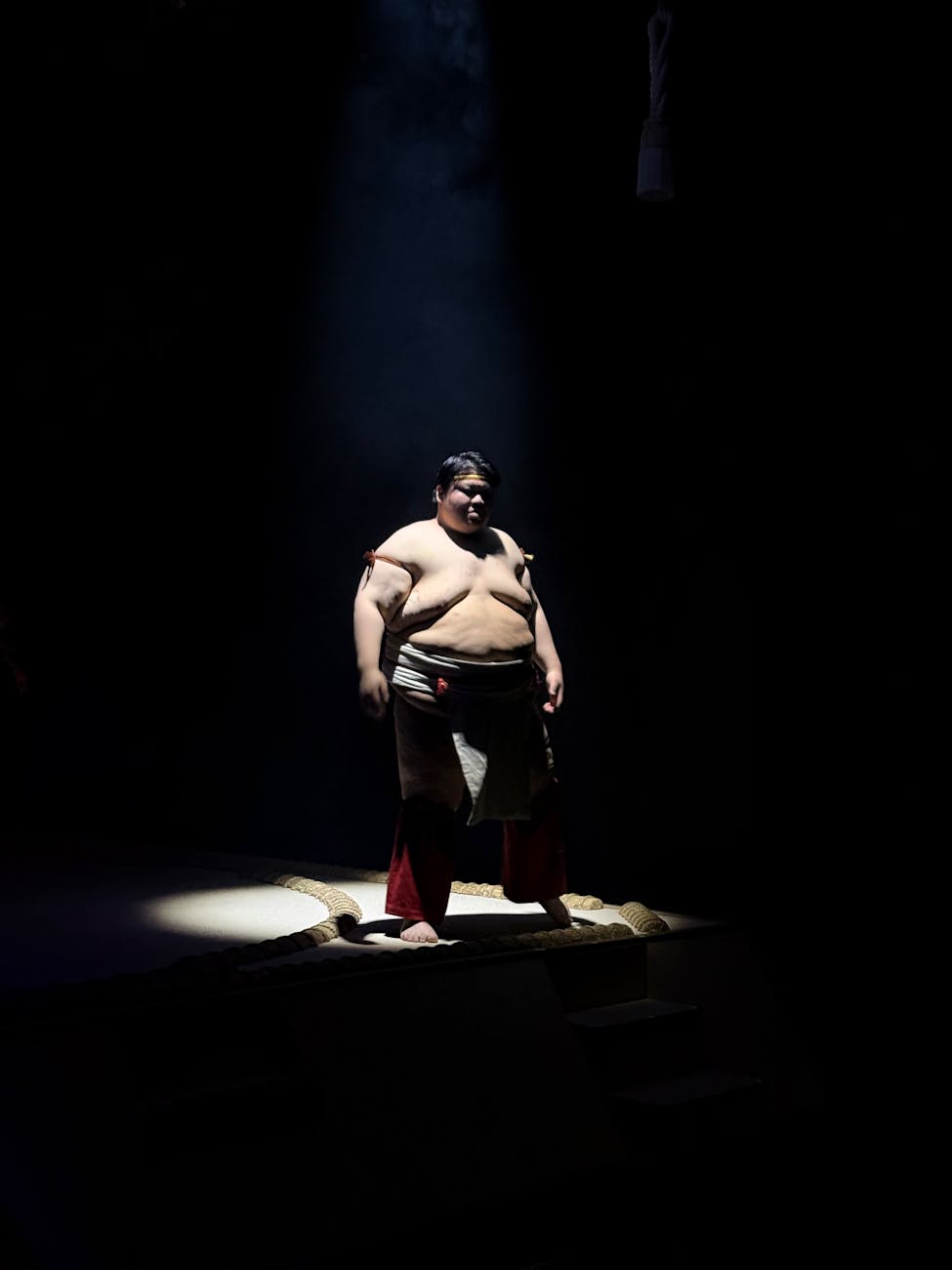 dramatic portrait of a sumo wrestler
