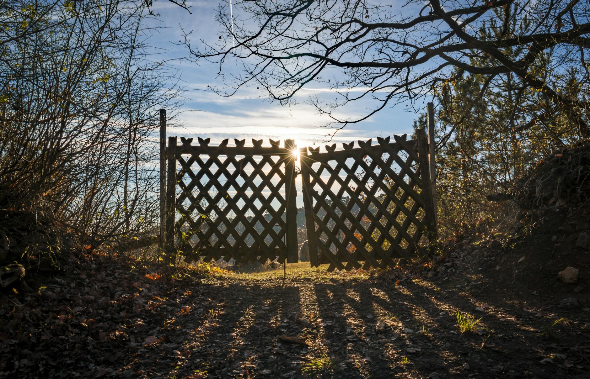 brown wooden door