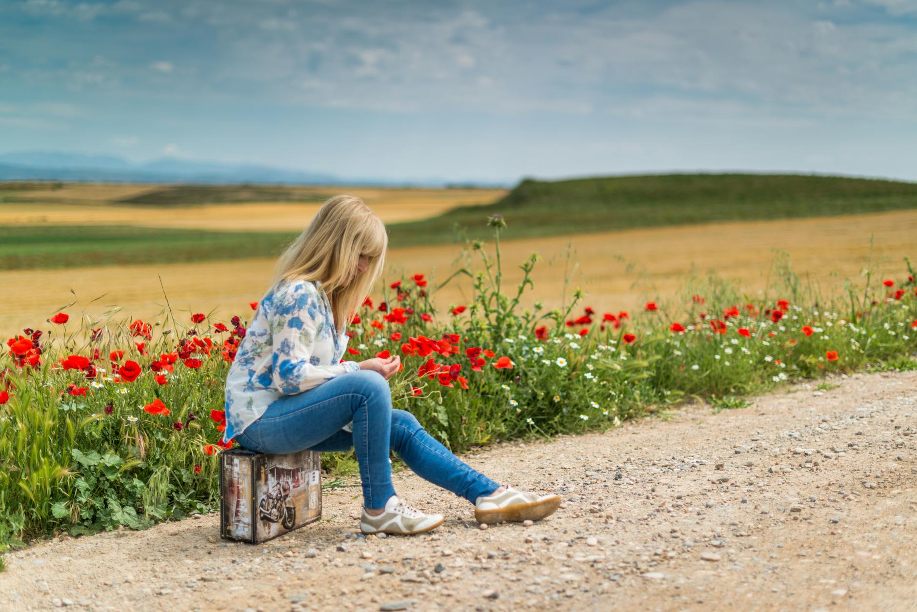 girl near red petal flowers at daytime