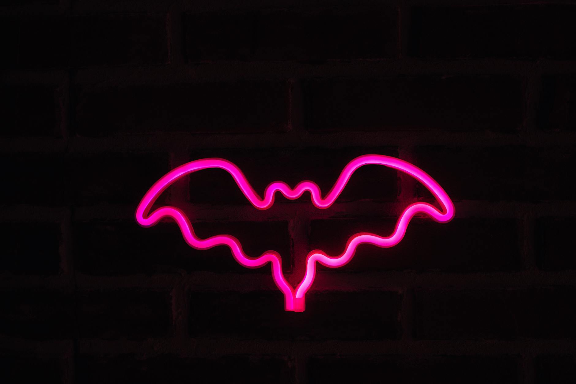 pink graphic neon light