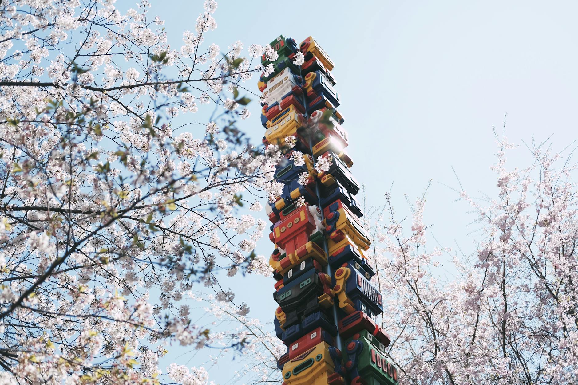low angle photography of robot tower between cherry blossom trees