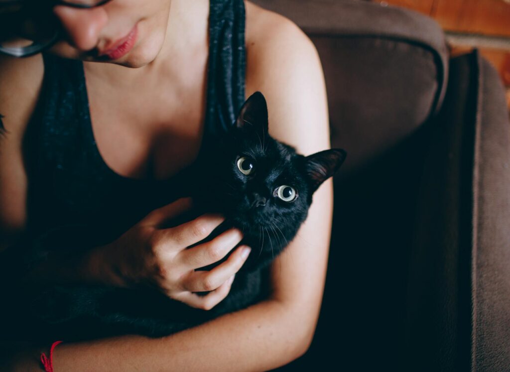 person carrying black cat