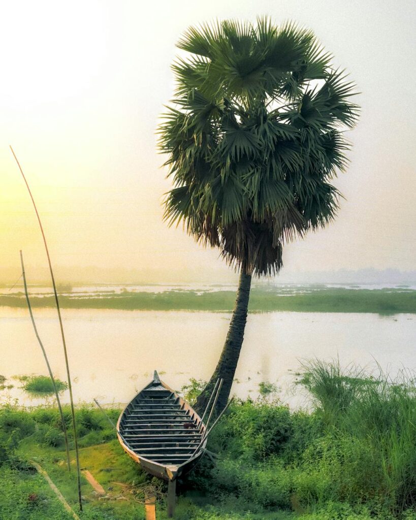 serene sunrise over bangladesh wetlands