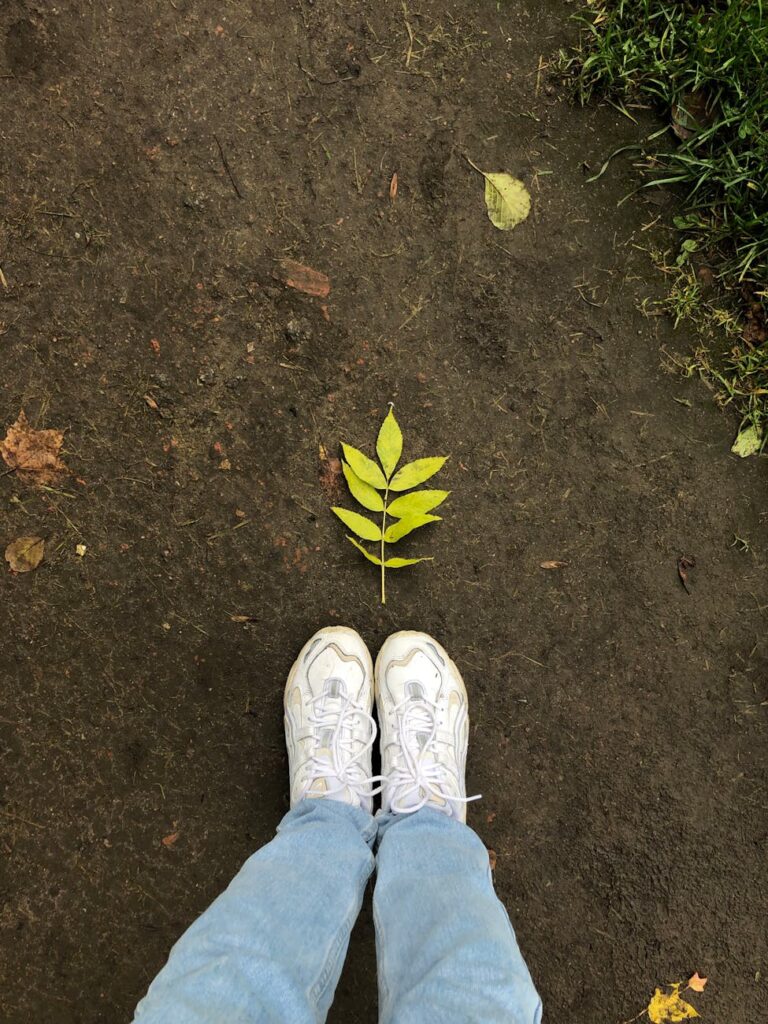 white sneakers near a plant with green leaves