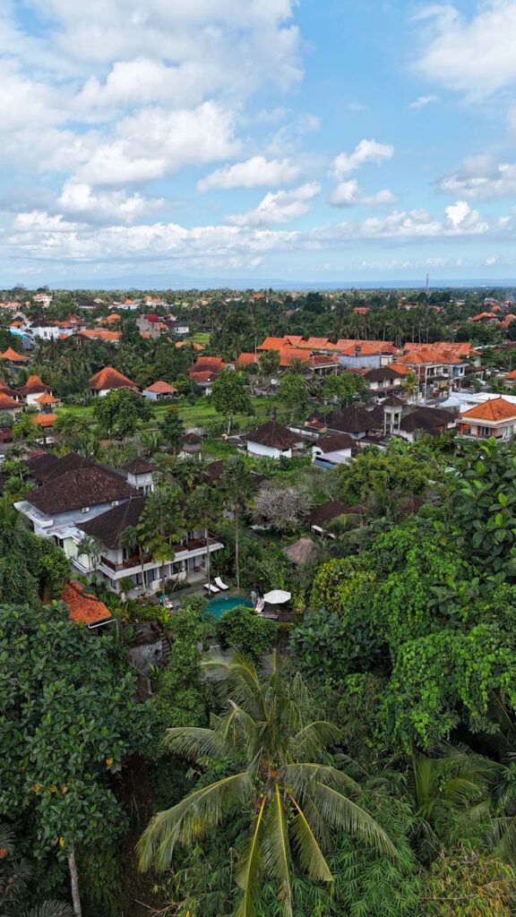 scenic view of tropical village with red roofs