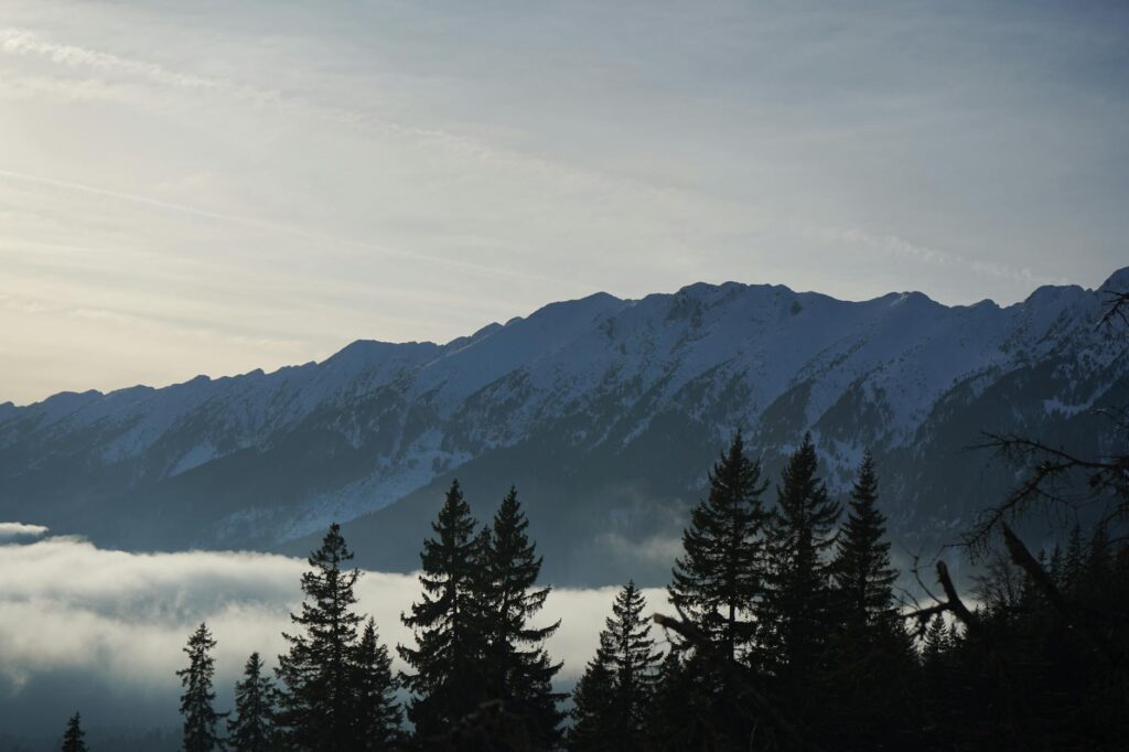 serene snowy mountain landscape with pines