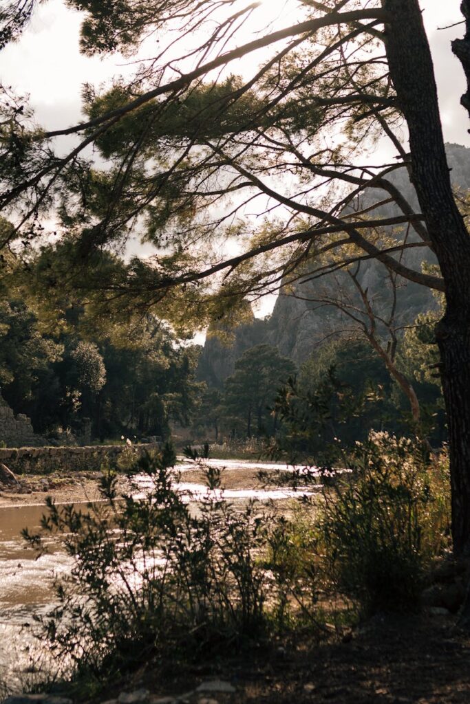 view of a river