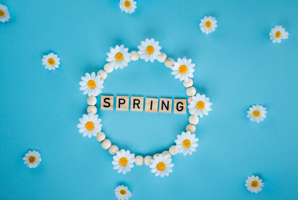 spring flower arrangement on blue background