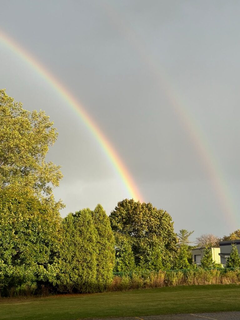 beautiful double rainbow over lush greenery